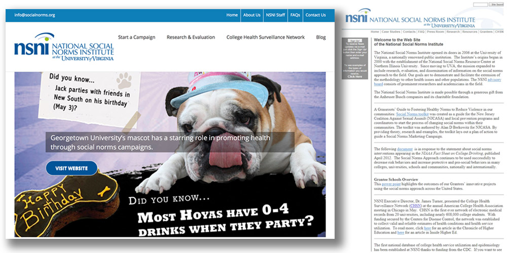 new and old NSNI websites